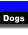 Dogs